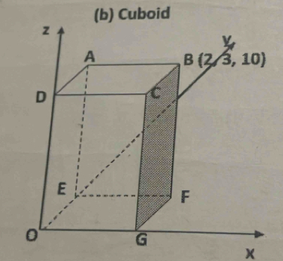 Cuboid
《