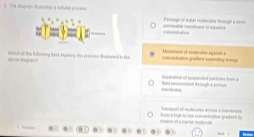 The diagram illustrates a cellular process.
Passage of water molecules through a sem!
permeable membrane to equalize
concentration
Movement of molecules against a
Which of the following best explains the process illustrated in the concentration gradient expending energy
above diagram?
Separation of suspended particles from a
fluid environment through a porous
membrane
Transport of molecules across a membrane
from a high to low concentration gradient by
means of a carrier molecule
(Previoun
Nest 3 Review