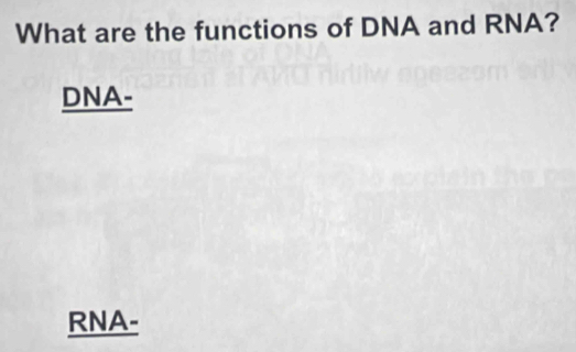 What are the functions of DNA and RNA? 
DNA- 
RNA-