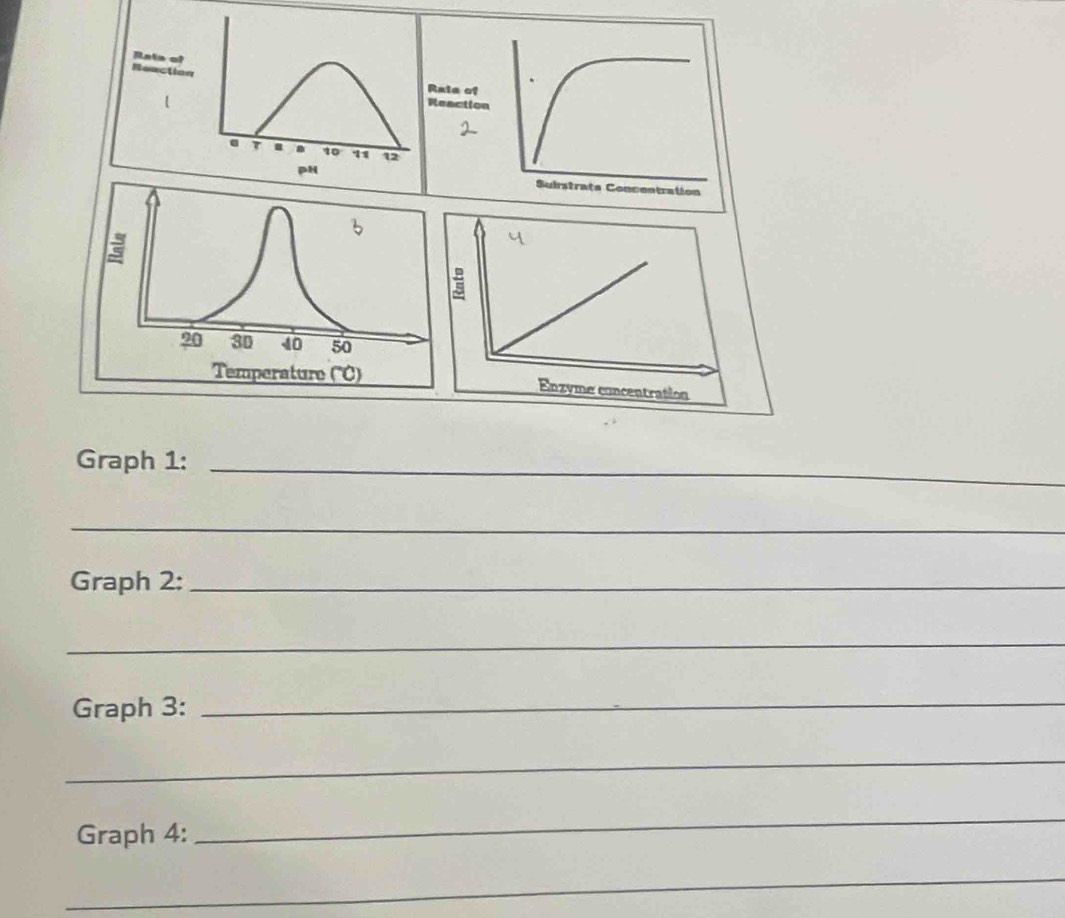 Graph 1:_ 
_ 
Graph 2:_ 
_ 
Graph 3:_ 
_ 
Graph 4: 
_ 
_