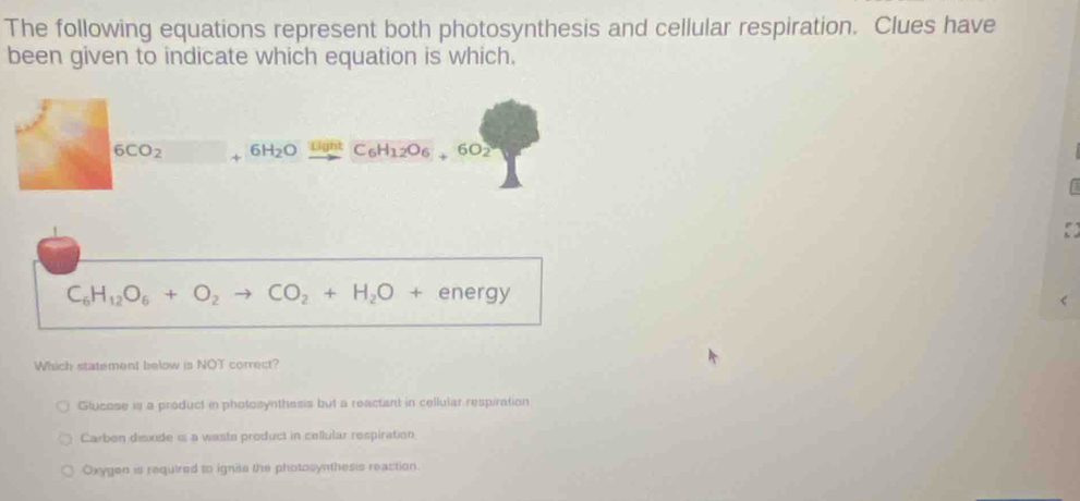 The following equations represent both photosynthesis and cellular respiration. Clues have
been given to indicate which equation is which.
6CO_2+6H_2Oxrightarrow []gntC_6H_12O_6+6O_2
C_6H_12O_6+O_2to CO_2+H_2O+energy
Which statement below is NOT correct?
Glucose is a product in photosynthesis but a reactant in cellular respiration
Carben disxide is a wasts product in cellular respiration
Oxygen is required to ignile the photosynthesis reaction.