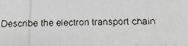 Describe the electron transport chain