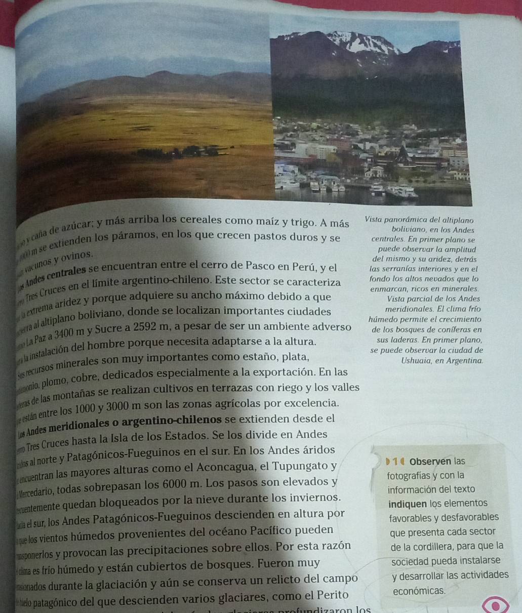 caña de az
boliviano, en los Andes
ol mse extienden los páramos, en los que crecen pastos duros y se centrales. En primer plano se
puede observar la amplitud
vacunos y ovinos.
del mismo y su aridez, detrás
Andes centrales se encuentran entre el cerro de Pasco en Perú, y el las serranías interiores y en el
Tres Cruces en el límite argentino chileno. Este sector se caracteriza fondo los altos nevados que lo
enmarcan, ricos en minerales
a extrema arídez y porque adquiere su ancho máximo debido a que Vista parcial de los Andes
car al altiplano boliviano, donde se localizan importantes ciudades meridionales. El clima frío
húmedo permite el crecimiento
la Paz a 3400 m y Sucre a 2592 m, a pesar de ser un ambiente adverso de los bosques de coníferas en
ee la instalación del hombre porque necesita adaptarse a la altura.
sus laderas. En primer plano,
se puede observar la ciudad de
sus recursos minerales son muy importantes como estaño, plata,
Ushuaia, en Argentina.
monio, plomo, cobre, dedicados especialmente a la exportación. En las
veras de las montañas se realizan cultivos en terrazas con riego y los valles
están entre los 1000 y 3000 m son las zonas agrícolas por excelencia.
os Andes meridionales o argentino chilenos se extienden desde el
m Tres Cruces hasta la Isla de los Estados. Se los divide en Andes
dos al morte y Patagónicos-Fueguinos en el sur. En los Andes áridos
ancuentran las mayores alturas como el Aconcagua, el Tupungato y  1  Observen las
Mercedario, todas sobrepasan los 6000 m. Los pasos son elevados y fotografías y con la
información del texto
quentemente quedan bloqueados por la nieve durante los inviernos.
indiquen los elementos
a el sur, los Andes Patagónicos-Fueguinos descienden en altura por favorables y desfavorables
que los vientos húmedos provenientes del océano Pacífico pueden que presenta cada sector
msponerlos y provocan las precipitaciones sobre ellos. Por esta razón de la cordillera, para que la
ima es frío húmedo y están cubiertos de bosques. Fueron muy sociedad pueda instalarse
sonados durante la glaciación y aún se conserva un relicto del campo y desarrollar las actividades
elo patagónico del que descienden varios glaciares, como el Perito económicas.
af undizaron los