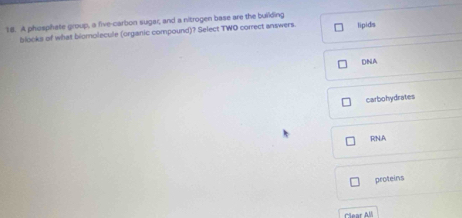 A phosphete group, a five-carbon sugar, and a nitrogen base are the building lipids
blocks of what biomolecule (organic compound)? Select TWO correct answers
DNA
carbohydrates
RNA
proteins
Clear AM