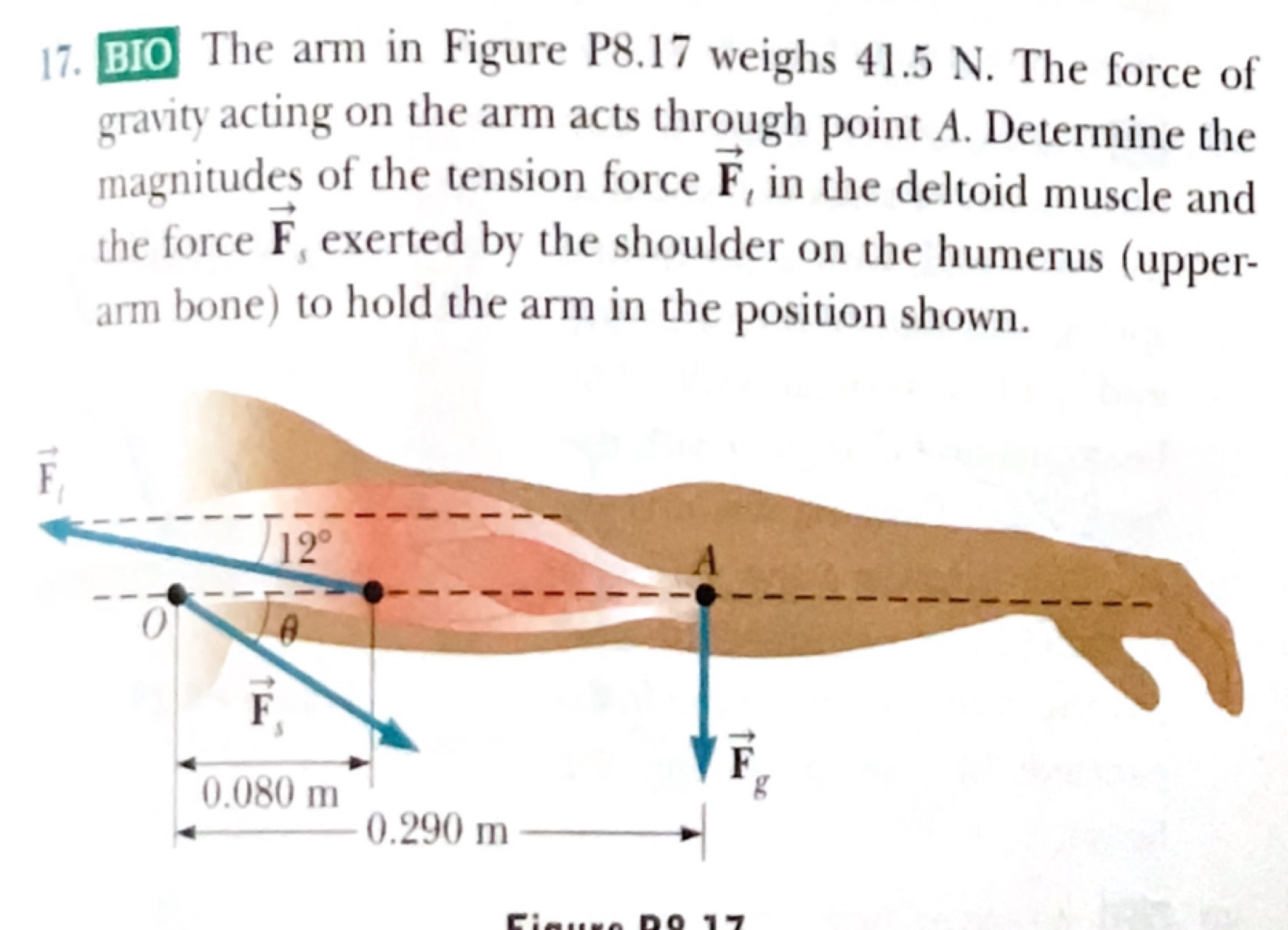 BIO The arm in Figure P8.17 weighs 41.5 N. The force of
gravity acting on the arm acts through point A. Determine the
magnitudes of the tension force vector F , in the deltoid muscle and
the force vector F , exerted by the shoulder on the humerus (upper-
arm bone) to hold the arm in the position shown.
nº 17