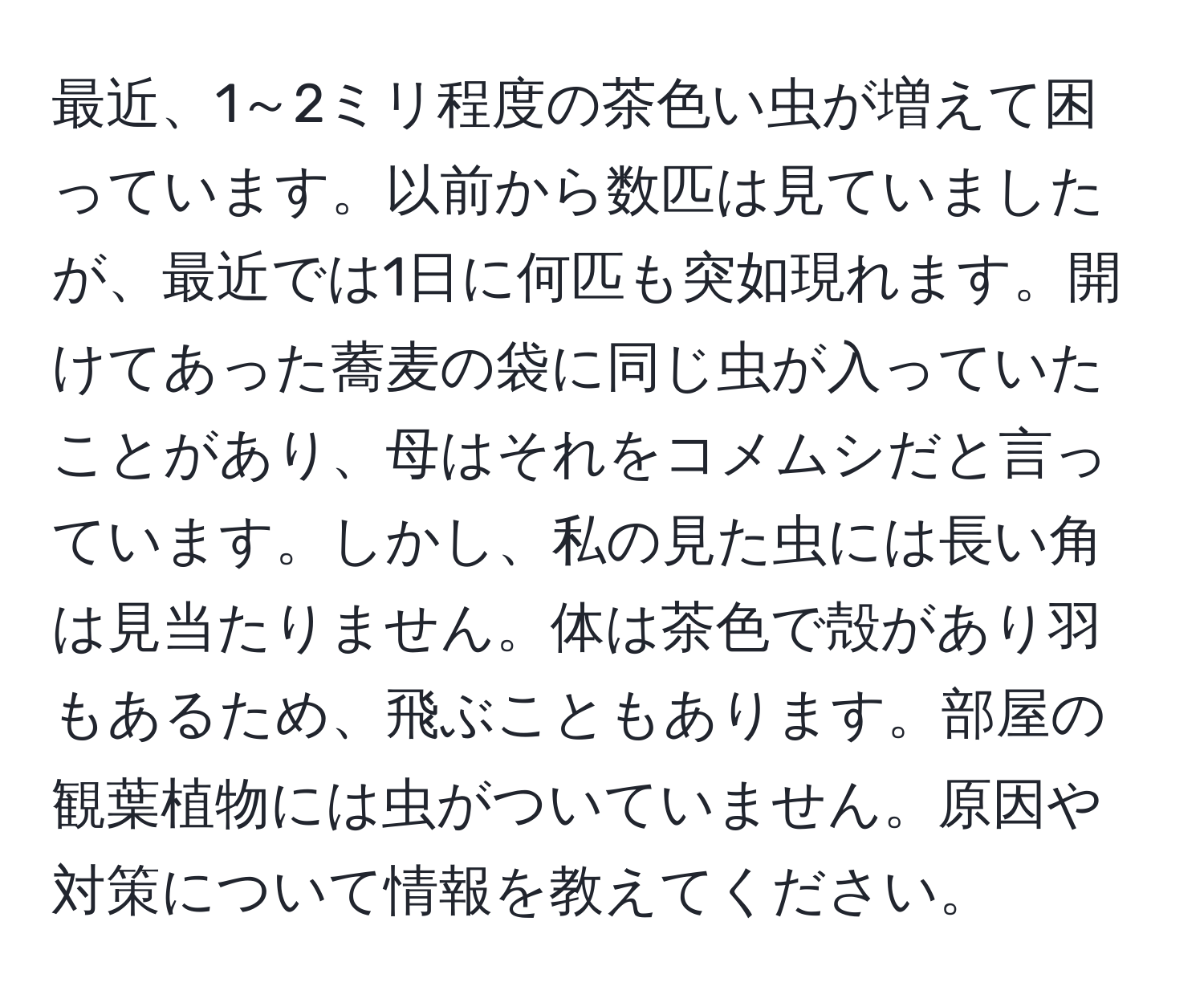 最近、1～2ミリ程度の茶色い虫が増えて困っています。以前から数匹は見ていましたが、最近では1日に何匹も突如現れます。開けてあった蕎麦の袋に同じ虫が入っていたことがあり、母はそれをコメムシだと言っています。しかし、私の見た虫には長い角は見当たりません。体は茶色で殻があり羽もあるため、飛ぶこともあります。部屋の観葉植物には虫がついていません。原因や対策について情報を教えてください。