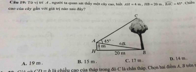 Từ vị trí A , người ta quan sát thấy một cây cao, biết AH=4m,HB=20m,widehat BAC=45°. Chiều
cao của cây gần với giá trị nào sau đây?
A. 19 m . B. 15 m . C. 17 m . D. 14 m .
CD=h là chiều cao của tháp trong đó C là chân tháp. Chọn hai điểm A, B trên n