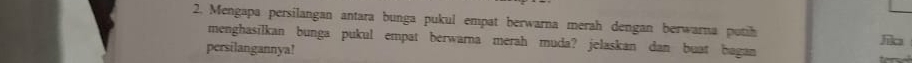 Mengapa persilangan antara bunga pukul empat berwarna merah dengan berwarna putih R 
menghasilkan bunga pukul empat berwarna merah muda? jelaskan dan buat bagan 
persilangannya!