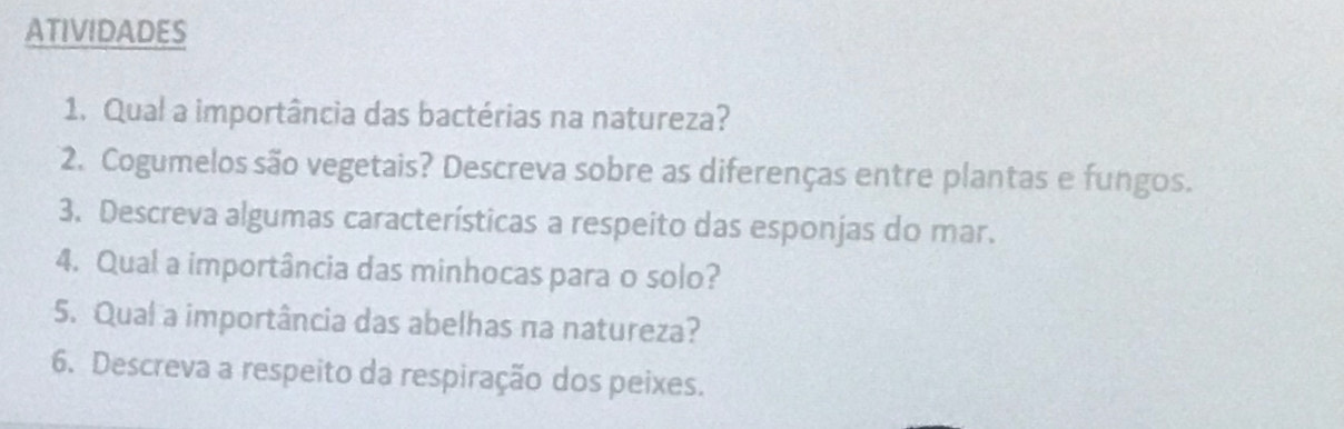 ATIVIDADES 
1. Qual a importância das bactérias na natureza? 
2. Cogumelos são vegetais? Descreva sobre as diferenças entre plantas e fungos. 
3. Descreva algumas características a respeito das esponjas do mar. 
4. Qual a importância das minhocas para o solo? 
5. Qual a importância das abelhas na natureza? 
6. Descreva a respeito da respiração dos peixes.