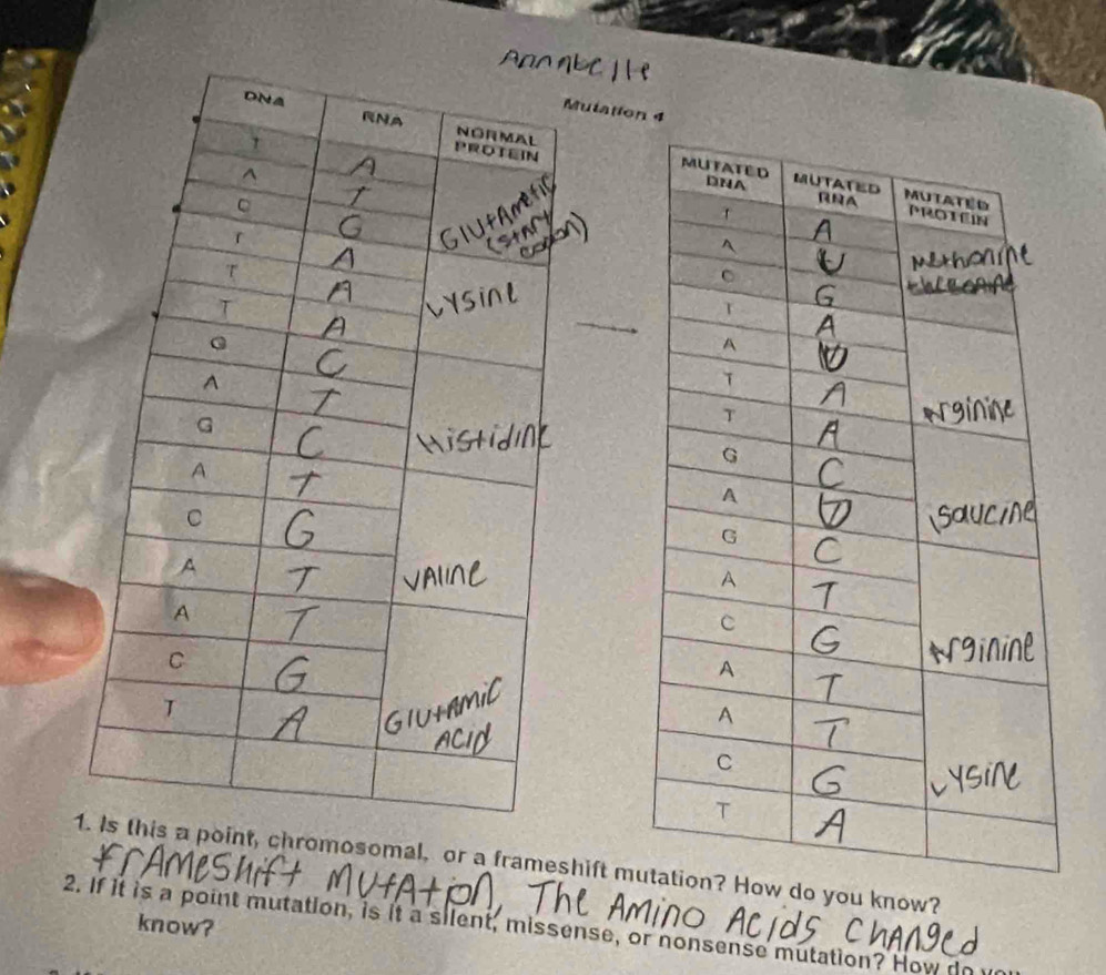 ulation 4 
1oint, chromosomal, or a frameshift mudo you know? 
know? 
2. If it is a point mutation, is it a silent, missense, or nonsense mutation? How do