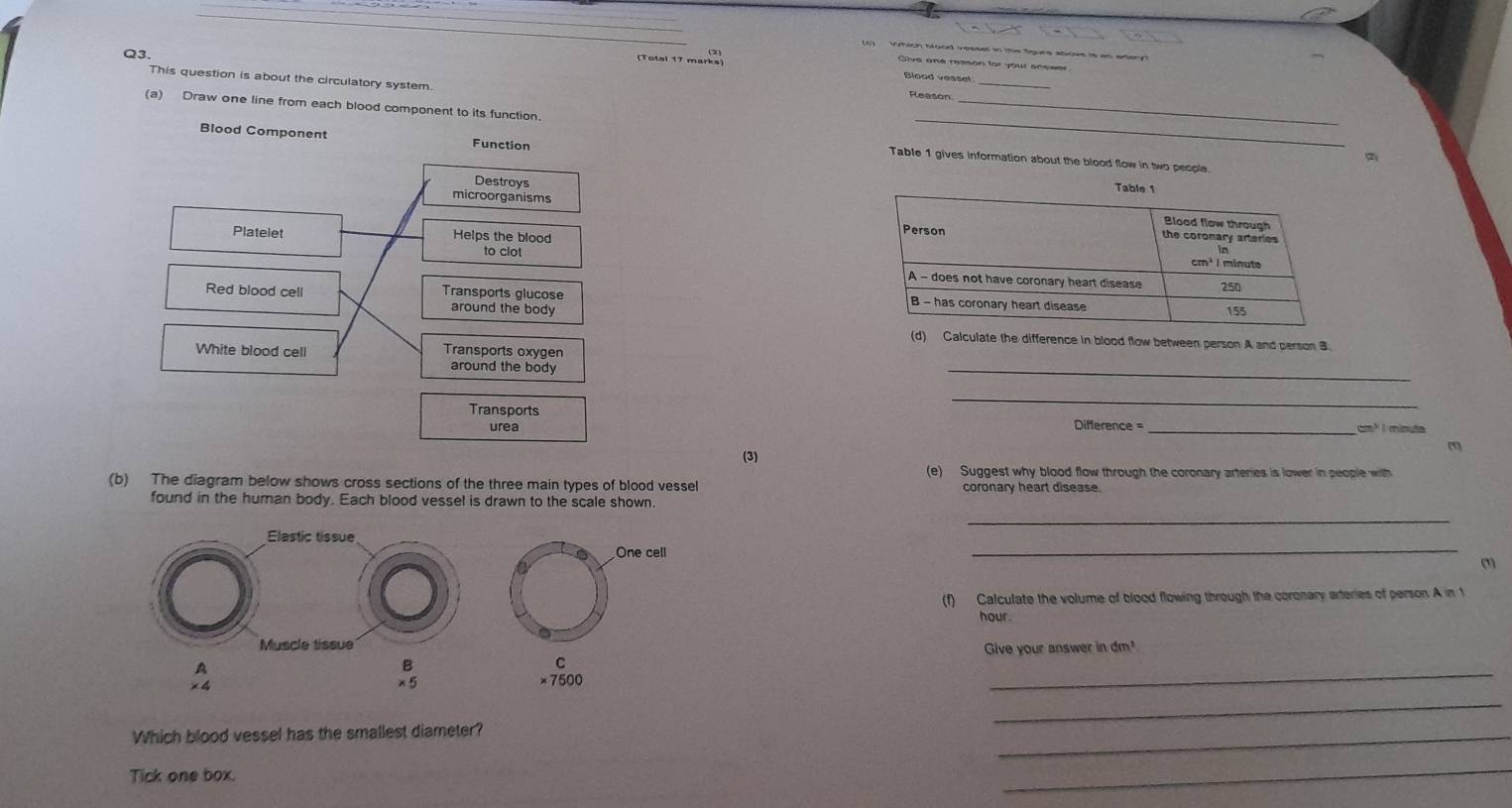 (5) Which blood vesset in the Sigure stiove is as edery? 
Q3 
(Totel 17 mara 
Give one reason for your answer 
Blood vessel 
_ 
This question is about the circulatory system. Reason_ 
_ 
(a) Draw one line from each blood component to its function. 
Blood Component Function 

Table 1 gives information about the blood flow in two people 
Destroys 
microorganisms 
Platelet Helps the blood 
to clot 
Red blood cell Transports glucose 
around the body 
Calculate the difference in blood flow between person A and person B. 
White blood cell Transports oxygen 
around the body 
_ 
_ 
Transports Difference = _ cm³ I minuta
urea 
(1 
(3) 
(e) Suggest why blood flow through the coronary arteries is lower in people with 
(b) The diagram below shows cross sections of the three main types of blood vessel coronary heart disease. 
found in the human body. Each blood vessel is drawn to the scale shown. 
_ 
_ 
() 
(f) Calculate the volume of blood flowing through the coronary arteries of person. A in 1
hour. 
Give your answer in dm? 
_ 
_ 
Which blood vessel has the smallest diameter? 
_ 
Tick one box. 
_