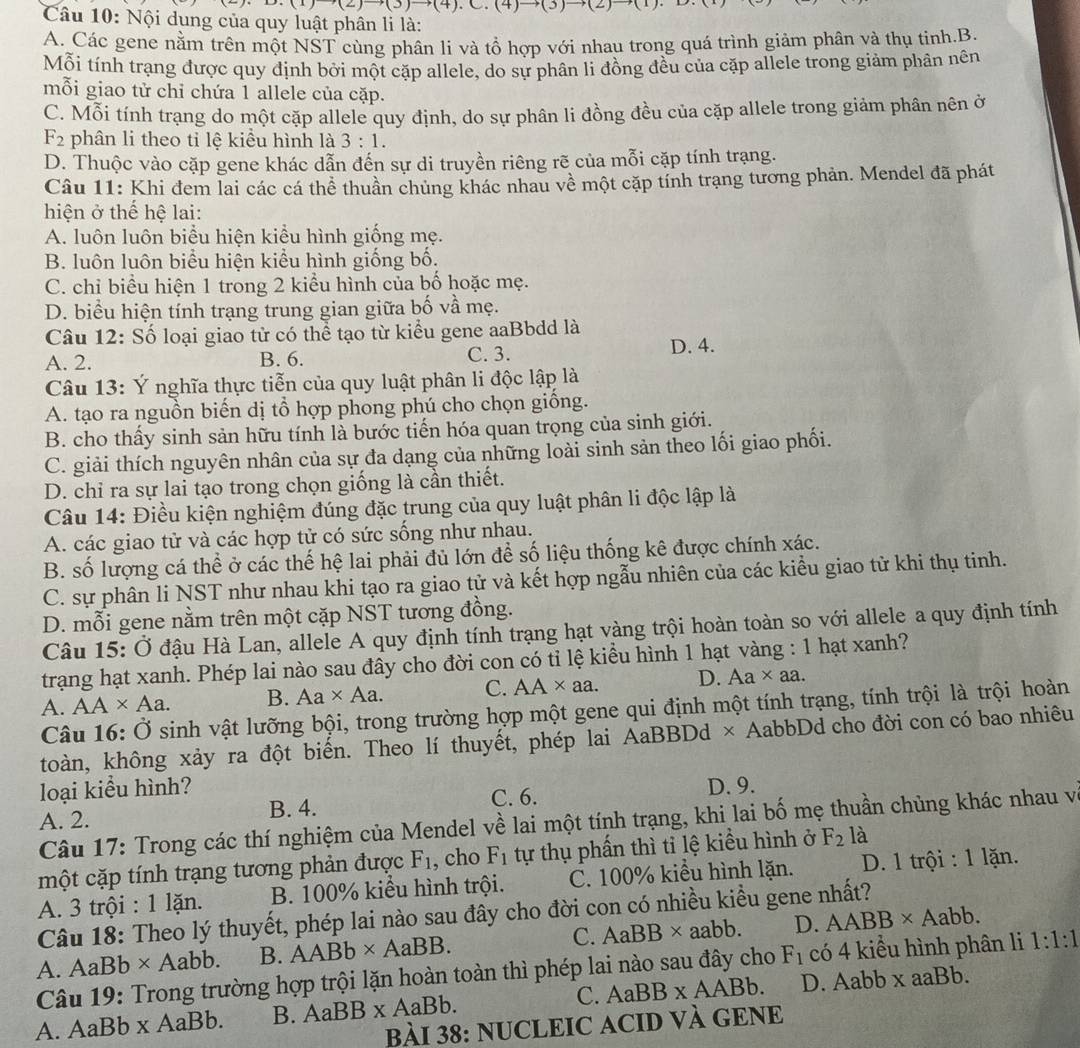 (1)+(2)to (4).C.(4)to (3)to (2)
Câu 10: Nội dung của quy luật phân li là:
A. Các gene nằm trên một NŠT cùng phân li và tổ hợp với nhau trong quá trình giảm phân và thụ tinh.B.
Mỗi tính trạng được quy dịnh bởi một cặp allele, do sự phân li đồng đều của cặp allele trong giảm phân nên
mỗi giao tử chỉ chứa 1 allele của cặp.
C. Mỗi tính trạng do một cặp allele quy định, do sự phân li đồng đều của cặp allele trong giảm phân nên ở
F_2 phân li theo tỉ lệ kiểu hình là 3:1.
D. Thuộc vào cặp gene khác dẫn đến sự di truyền riêng rẽ của mỗi cặp tính trạng.
Câu 11: Khi đem lai các cá thể thuần chủng khác nhau về một cặp tính trạng tương phản. Mendel đã phát
hiện ở thế hệ lai:
A. luôn luôn biểu hiện kiểu hình giống mẹ.
B. luôn luôn biểu hiện kiểu hình giống bố.
C. chỉ biểu hiện 1 trong 2 kiểu hình của bố hoặc mẹ.
D. biểu hiện tính trạng trung gian giữa bố vầ mẹ.
Câu 12: Số loại giao từ có thể tạo từ kiểu gene aaBbdd là
A. 2. B. 6. C. 3. D. 4.
Câu 13: Ý nghĩa thực tiễn của quy luật phân li độc lập là
A. tạo ra nguồn biến dị tổ hợp phong phú cho chọn giống.
B. cho thấy sinh sản hữu tính là bước tiến hóa quan trọng của sinh giới.
C. giải thích nguyên nhân của sự đa dạng của những loài sinh sản theo lối giao phối.
D. chỉ ra sự lai tạo trong chọn giống là cần thiết.
Câu 14: Điều kiện nghiệm đúng đặc trung của quy luật phân li độc lập là
A. các giao tử và các hợp tử có sức sống như nhau.
B. số lượng cá thể ở các thế hệ lai phải đủ lớn để số liệu thống kê được chính xác.
C. sự phân li NST như nhau khi tạo ra giao tử và kết hợp ngẫu nhiên của các kiều giao tử khi thụ tinh.
D. mỗi gene nằm trên một cặp NST tương đồng.
Câu 15: Ở đậu Hà Lan, allele A quy định tính trạng hạt vàng trội hoàn toàn so với allele a quy định tính
trạng hạt xanh. Phép lai nào sau đây cho đời con có tỉ lệ kiều hình 1 hạt vàng : 1 hạt xanh?
A. AA* Aa. B. Aa* Aa. C. AA* aa. D. Aa* aa.
Câu 16:dot O sinh vật lưỡng bội, trong trường hợp một gene qui định một tính trạng, tính trội là trội hoàn
toàn, không xảy ra đột biến. Theo lí thuyết, phép lai AaBBDd* AabbDd cho đời con có bao nhiêu
loại kiểu hình?
A. 2. B. 4. C. 6. D. 9.
Câu 17: Trong các thí nghiệm của Mendel về lai một tính trạng, khi lai bố mẹ thuần chùng khác nhau và
một cặp tính trạng tương phản được F_1 , cho F_1 tự thụ phần thì tỉ lệ kiểu hình ở F_2 là
A. 3 trội : 1 lặn.  B. 100% kiểu hình trội. C. 100% kiểu hình lặn.  D. 1 trội : 1 lặn.
Câu 18: Theo lý thuyết, phép lai nào sau đây cho đời con có nhiều kiều gene nhất?
A. A aBb * Aabb. B. AABb* AaBB. C. AaBB* aabb. D. AABB* Aabb.
Câu 19: Trong trường hợp trội lặn hoàn toàn thì phép lai nào sau đây cho F_1 có 4 kiểu hình phân li 1:1:1
A. AaBb* AaBb. B. AaBB* AaBb. C. AaBB* AABb.
D. Aabbx aaBb.
BÀI 38: NUCLEIC ACID VÀ GENE