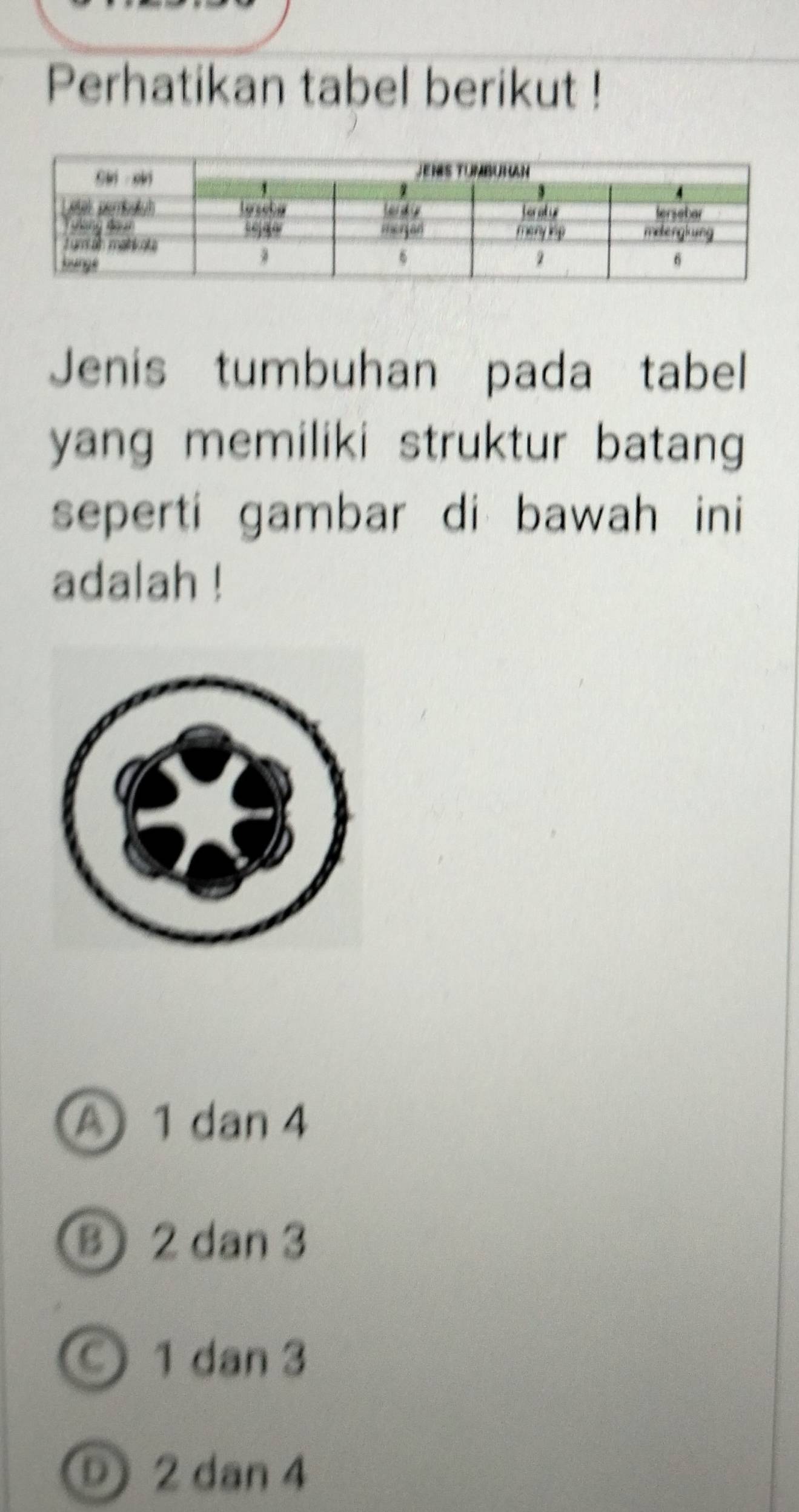 Perhatikan tabel berikut !
Jenis tumbuhan pada tabel
yang memiliki struktur batang 
seperti gambar di bawah ini
adalah !
A 1 dan 4
B 2 dan 3
1 dan 3
D 2 dan 4