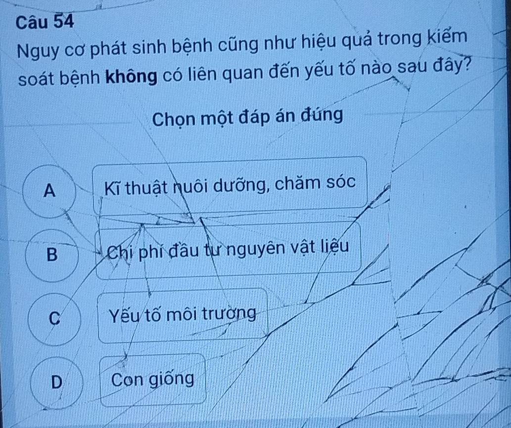 Nguy cơ phát sinh bệnh cũng như hiệu quả trong kiểm
soát bệnh không có liên quan đến yếu tố nào sau đây?
Chọn một đáp án đứng
A Kĩ thuật nuôi dưỡng, chăm sóc
B Chi phí đầu tư nguyên vật liệu
C Yếu tố môi trường
D Con giống