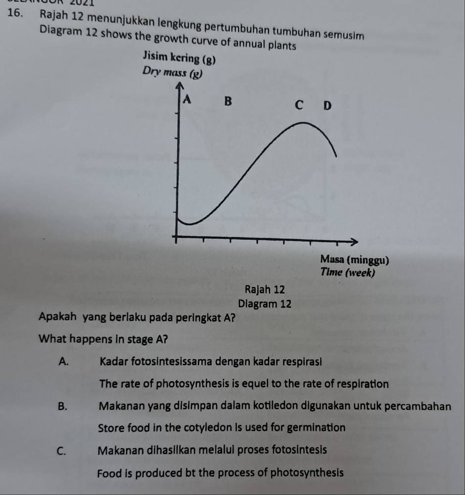 ÖR 2021
16. Rajah 12 menunjukkan lengkung pertumbuhan tumbuhan semusim
Diagram 12 shows the growth curve of ann
Apakah yang berlaku pada peringkat A?
What happens in stage A?
A. Kadar fotosintesissama dengan kadar respirasl
The rate of photosynthesis is equel to the rate of respiration
B. Makanan yang disimpan dalam kotiledon digunakan untuk percambahan
Store food in the cotyledon Is used for germination
C. Makanan dihasilkan melalui proses fotosintesis
Food is produced bt the process of photosynthesis