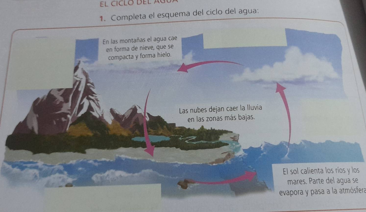 El CÍCLO DEL ÁGú 
1. Completa el esquema del ciclo del agua: 
s 
e 
evapora y pasa a la atmósfera