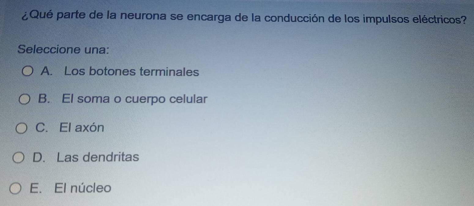 ¿Qué parte de la neurona se encarga de la conducción de los impulsos eléctricos?
Seleccione una:
A. Los botones terminales
B. El soma o cuerpo celular
C. El axón
D. Las dendritas
E. El núcleo