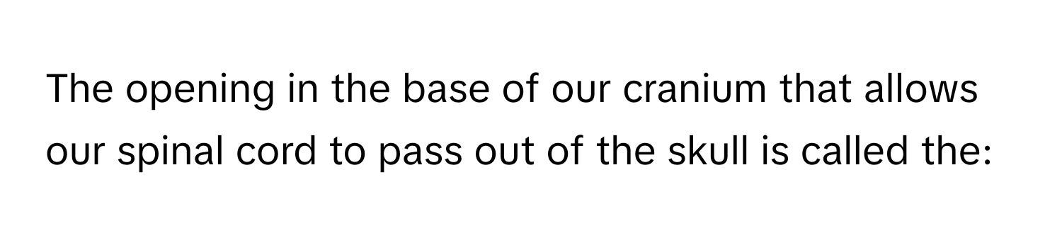 The opening in the base of our cranium that allows our spinal cord to pass out of the skull is called the: