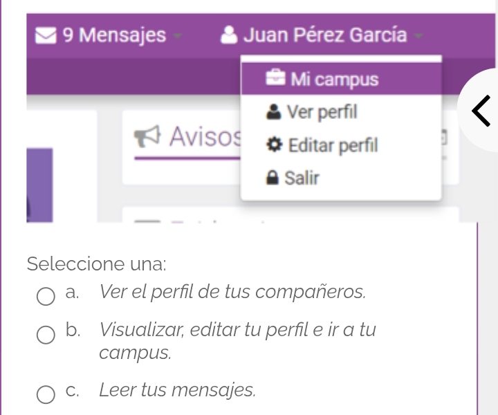 Mensajes Juan Pérez García
Mi campus
Ver perfil
Avisos Editar perfil
Salir
Seleccione una:
a. Ver el perfil de tus compañeros.
b. Visualizar, editar tu perfil e ir a tu
campus.
c. Leer tus mensajes.