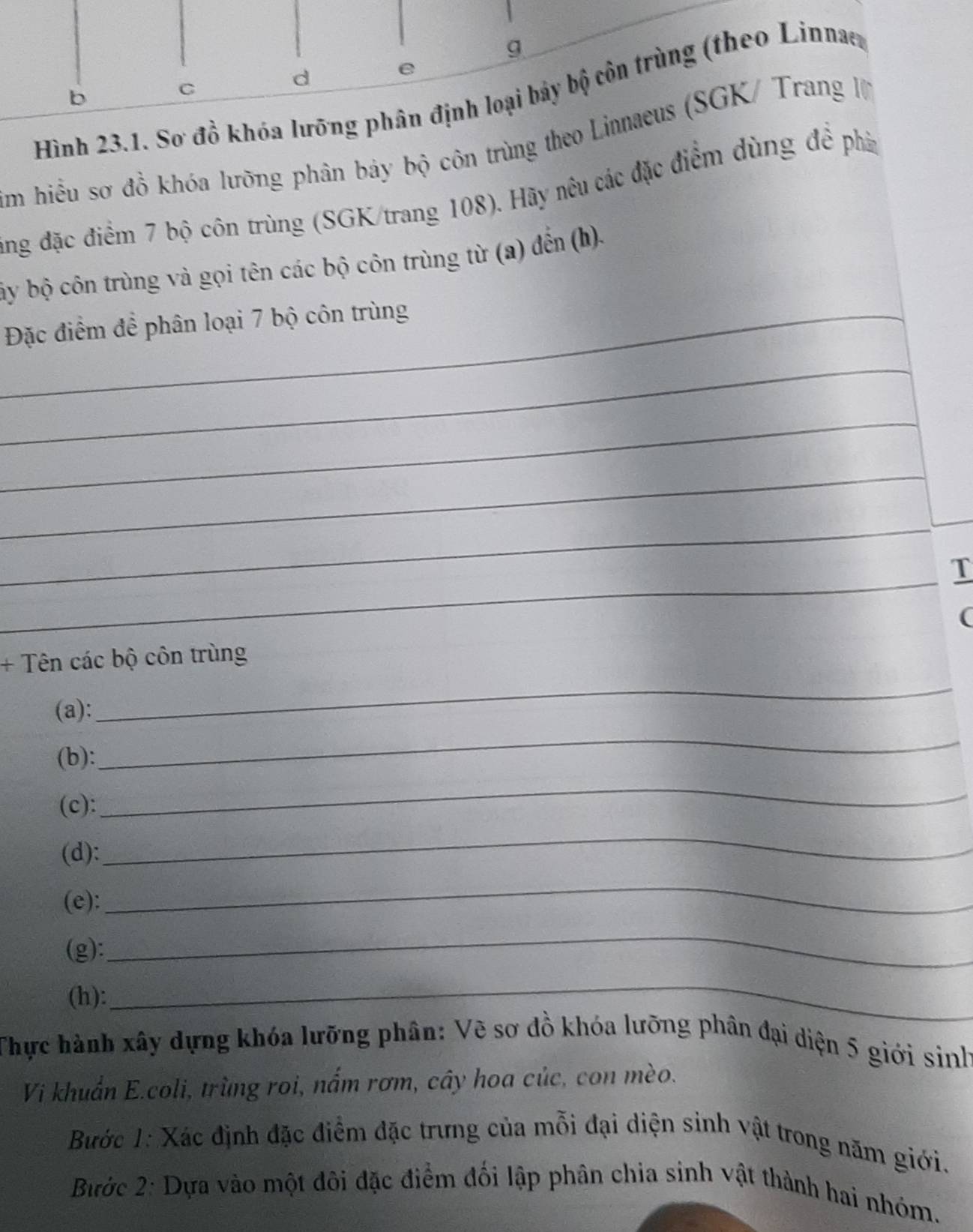 Hình 23.1. Sơ đồ khóa lưỡng phân định loại bảy bộ côn trùng (theo Linnar 
b 
C 
d 
m hiều sơ đồ khóa lưỡng phân báy bộ côn trùng theo Linnaeus (SGK/ Trang I) 
ùng đặc điểm 7 bộ côn trùng (SGK/trang 108). Hãy nêu các đặc điểm dùng đề phầ 
by bộ côn trùng và gọi tên các bộ côn trùng từ (a) đến (h). 
_Đặc điểm để phân loại 7 bộ côn trùng 
_ 
_ 
_ 
_ 
_ 
T 
( 
+ Tên các bộ côn trùng 
(a): 
_ 
(b): 
_ 
(c): 
_ 
(d): 
_ 
(e): 
_ 
(g): 
_ 
(h): 
_ 
Thực hành xây dựng khóa lưỡng phân: Vẽ sơ đồ khóa lưỡng phân đại diện 5 giới sinh 
Vi khuẩn E.coli, trùng roi, nắm rơm, cây hoa củc, con mèo. 
Bước 1: Xác định đặc điểm đặc trưng của mỗi đại diện sinh vật trong năm giới. 
Bước 2: Dựa vào một đôi đặc điểm đối lập phân chia sinh vật thành hai nhóm.