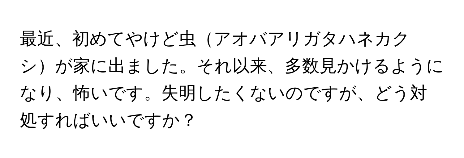 最近、初めてやけど虫アオバアリガタハネカクシが家に出ました。それ以来、多数見かけるようになり、怖いです。失明したくないのですが、どう対処すればいいですか？