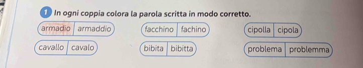 In ogni coppia colora la parola scritta in modo corretto.
armadio armaddio facchino fachino cipolla cipola
cavallo cavalo bibita bibitta problema problemma