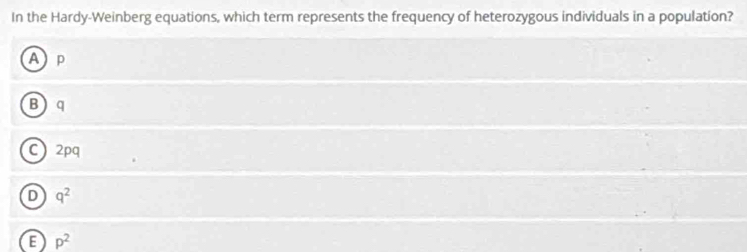 In the Hardy-Weinberg equations, which term represents the frequency of heterozygous individuals in a population?
A p
B q
C) 2pq
D q^2
p^2