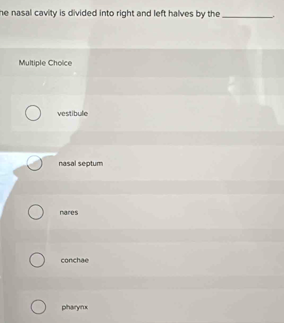 he nasal cavity is divided into right and left halves by the _
.
Multiple Choice
vestibule
nasal septum
nares
conchae
pharynx