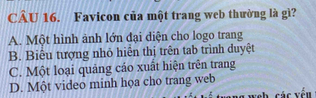 Favicon của một trang web thường là gì?
A. Một hình ảnh lớn đại diện cho logo trang
B. Biểu tượng nhỏ hiển thị trên tab trình duyệt
C. Một loại quảng cáo xuất hiện trên trang
D. Một video minh họa cho trang web
veh, các vều