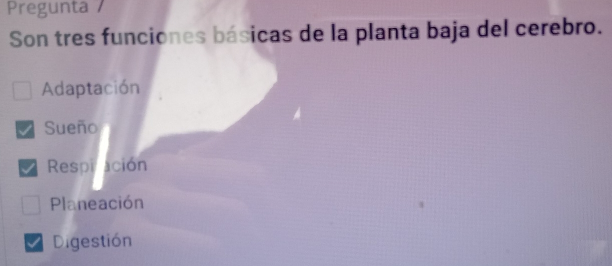 Pregunta 
Son tres funciones básicas de la planta baja del cerebro.
Adaptación
Sueño
Respilación
Planeación
Digestión