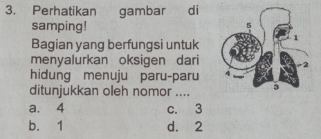 Perhatikan gambar di
samping!
Bagian yang berfungsi untuk
menyalurkan oksigen dari
hidung menuju paru-paru 
ditunjukkan oleh nomor ....
a. 4 c. 3
b. 1 d. 2