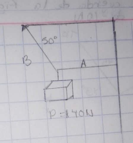 50°
B 
A
P=40N