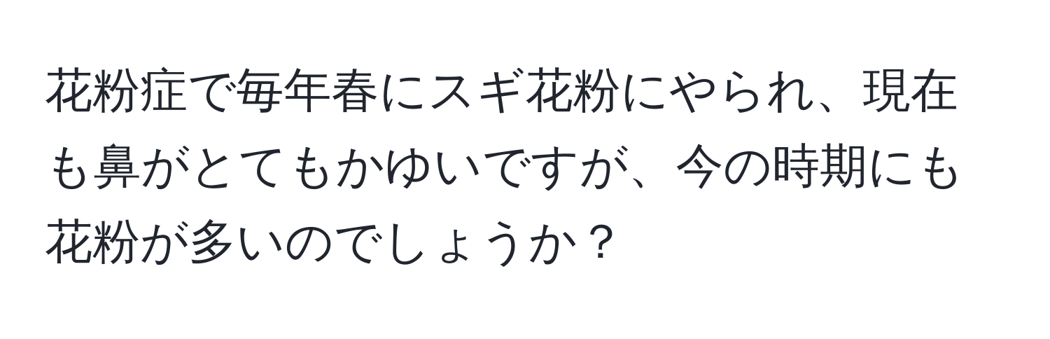 花粉症で毎年春にスギ花粉にやられ、現在も鼻がとてもかゆいですが、今の時期にも花粉が多いのでしょうか？