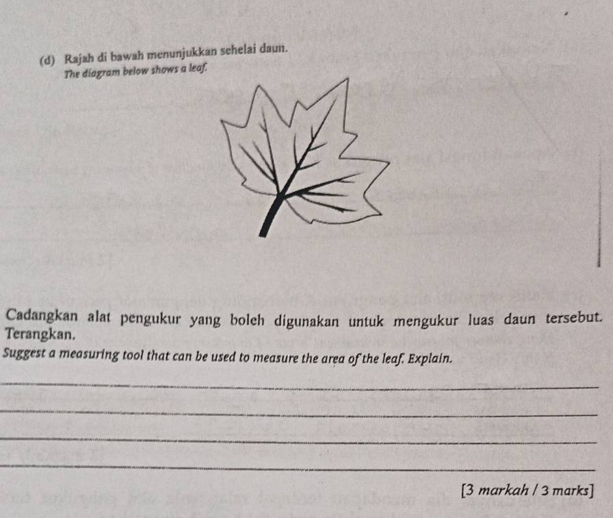 Rajah di bawah menunjukkan sehelai daun. 
The diagram below shows a leaf. 
Cadangkan alat pengukur yang bolch digunakan untuk mengukur luas daun tersebut. 
Terangkan. 
Suggest a measuring tool that can be used to measure the area of the leaf. Explain. 
_ 
_ 
_ 
_ 
[3 markah / 3 marks]