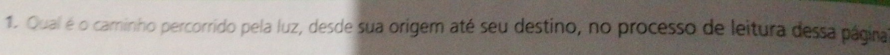 Qual é o caminho percorrido pela luz, desde sua origem até seu destino, no processo de leitura dessa página