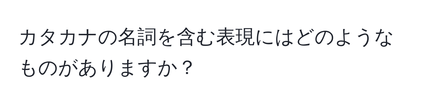 カタカナの名詞を含む表現にはどのようなものがありますか？