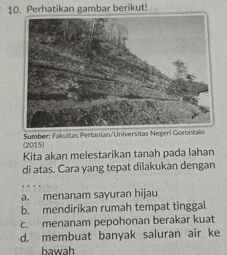 Perhatikan gambar berikut!
Sumber: Fakultas Pertanian/Universitas Negeri Gorontalo
(2015)
Kita akan melestarikan tanah pada lahan
di atas. Cara yang tepat dilakukan dengan
a. menanam sayuran hijau
b. mendirikan rumah tempat tinggal
c. menanam pepohonan berakar kuat
d. membuat banyak saluran air ke
bawah