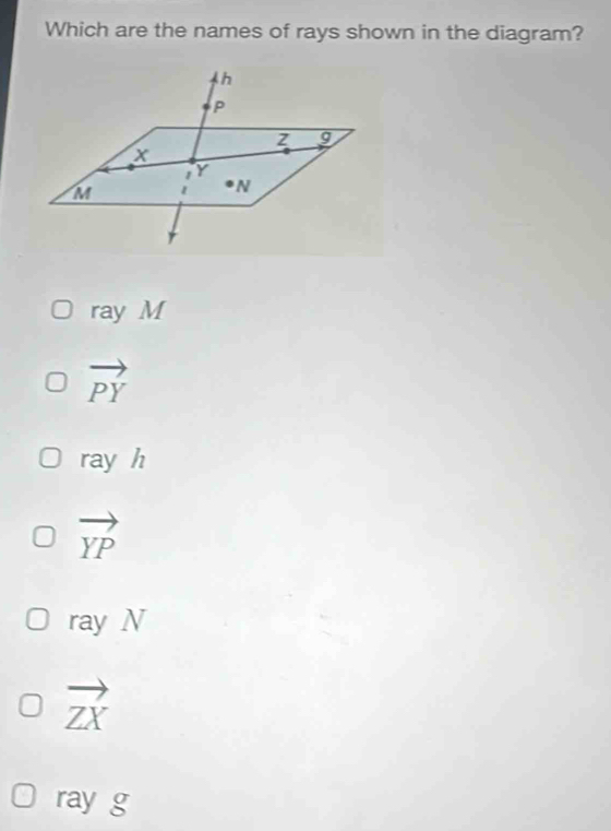 Which are the names of rays shown in the diagram?
ray M
vector PY
x° y h
vector YP
ray N
vector ZX
ray g