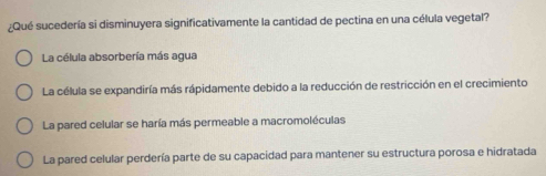 ¿Qué sucedería si disminuyera significativamente la cantidad de pectina en una célula vegetal?
La célula absorbería más agua
La célula se expandiría más rápidamente debido a la reducción de restricción en el crecimiento
La pared celular se haría más permeable a macromoléculas
La pared celular perdería parte de su capacidad para mantener su estructura porosa e hidratada