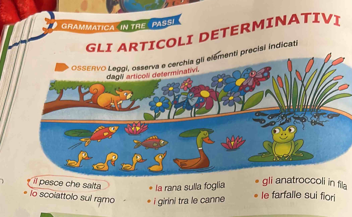 GRAMMATICA IN TRE PASS! 
GLI ARTICOLI DETERMINATIVI 
isi indicati 
il pesce che salta 
la rana sulla foglia 
gIi anatroccoli in fila 
lo scoiattolo sul ramo 
i girini tra le canne 
le farfalle sui fiori