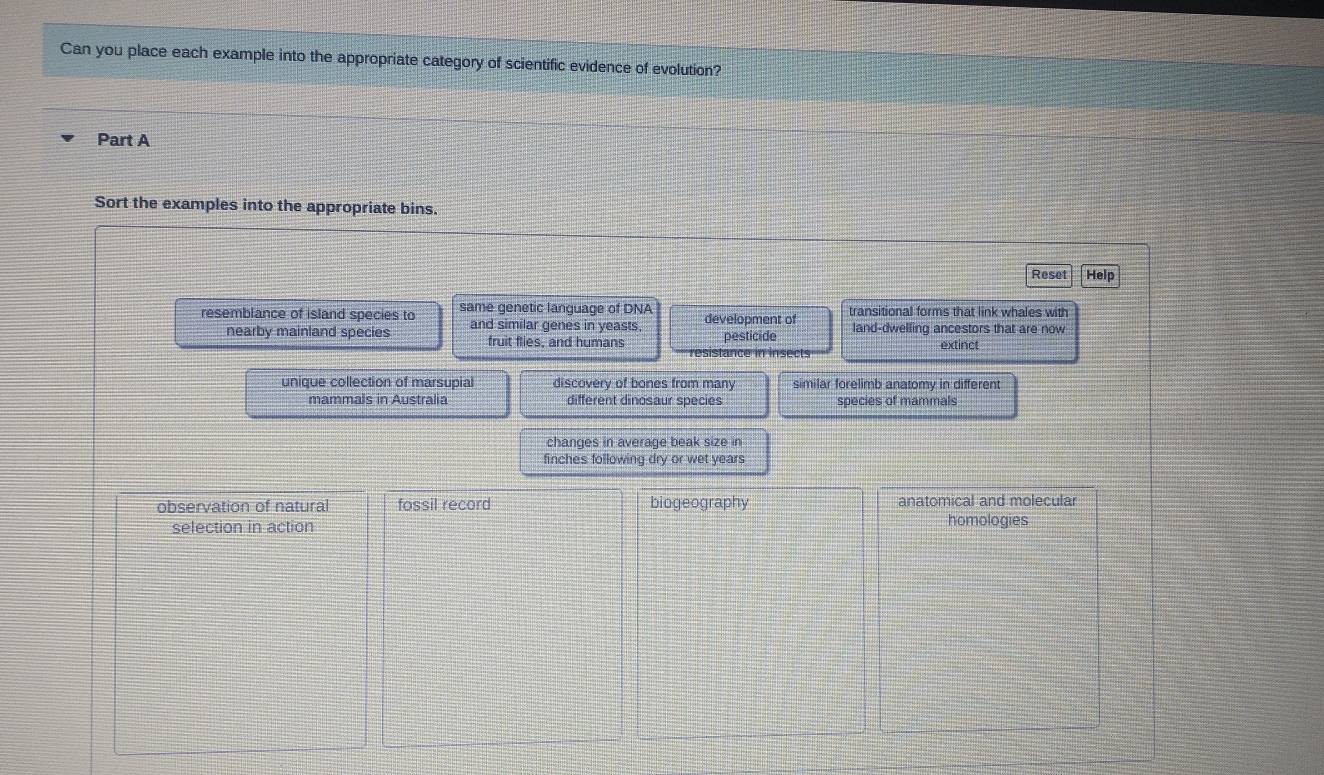 Can you place each example into the appropriate category of scientific evidence of evolution?
Part A
Sort the examples into the appropriate bins.
Reset Help
resemblance of island species to same genetic language of DNA development of transitional forms that link whales with
nearby mainland species and similar genes in yeasts, pesticide land-dwelling ancestors that are now
fruit flies, and humans extinct
resistance 
unique collection of marsupial discovery of bones from many similar forelimb anatomy in different
mammals in Australia different dinosaur species species of mammals
changes in average beak size in
finches following dry or wet years
observation of natural fossil record biogeography anatomical and molecular
selection in action homologies