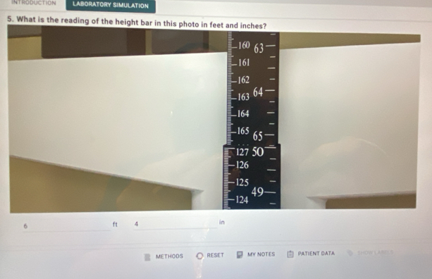 INTRODUCTION LABORATORY SIMULATION 
5. What is the reading of the height bar in this photo in feet and inches? 
_
6
_
ft 4
in 
_ 
METHODS RESET MY NOTES PATIENT DATA SHOW LASE S