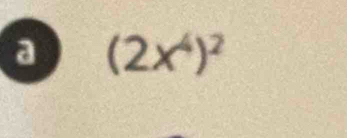 a (2x^4)^2