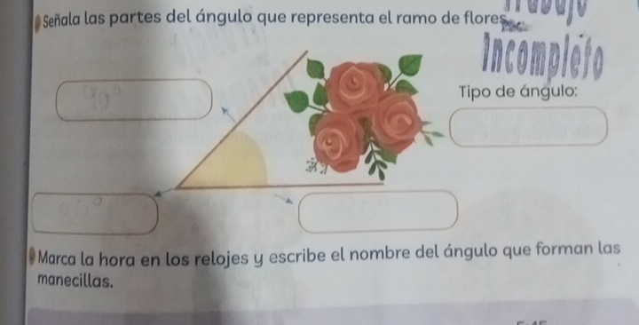 # Señala las partes del ángulo que representa el ramo de flores 
incom 
Tipo de ángulo: 
Marca la hora en los relojes y escribe el nombre del ángulo que forman las 
manecillas.