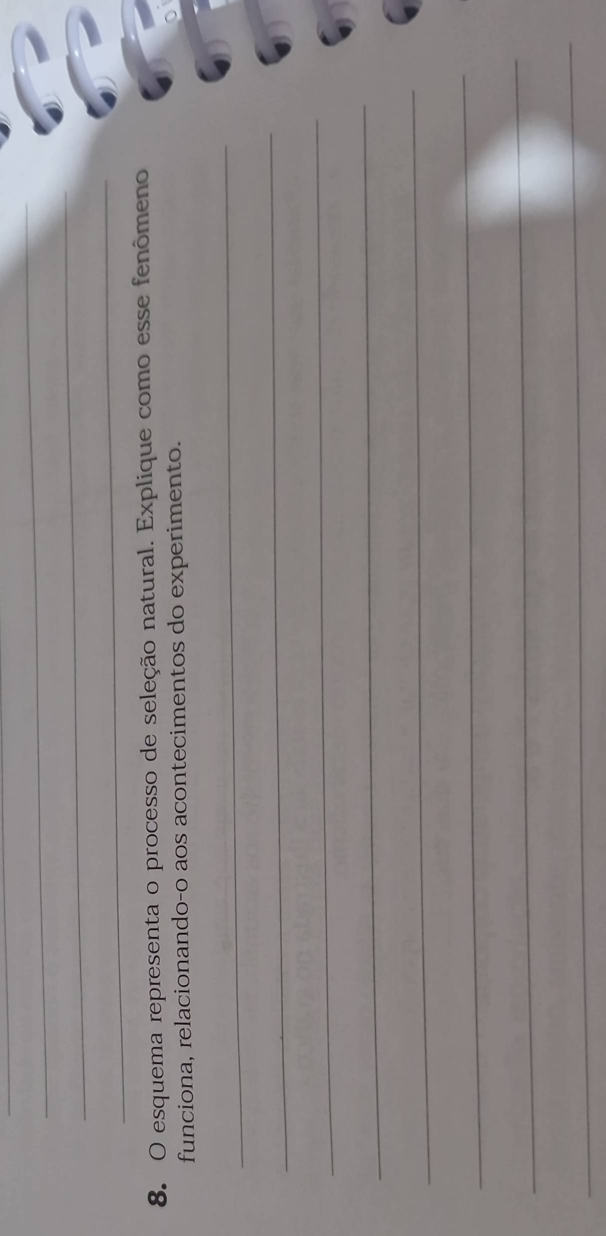 esquema representa o processo de seleção natural. Explique como esse fenômeno 
funciona, relacionando-o aos acontecimentos do experimento. 
_ 
_ 
_ 
_ 
_ 
_ 
_ 
_