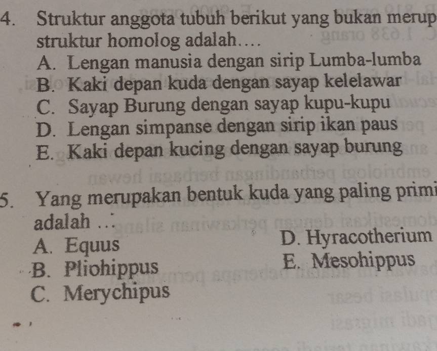 Struktur anggota tubuh berikut yang bukan merup
struktur homolog adalah…...
A. Lengan manusia dengan sirip Lumba-lumba
B. Kaki depan kuda dengan sayap kelelawar
C. Sayap Burung dengan sayap kupu-kupu
D. Lengan simpanse dengan sirip ikan paus
E. Kaki depan kucing dengan sayap burung
5. Yang merupakan bentuk kuda yang paling primi
adalah ..
A. Equus D. Hyracotherium
B. Pliohippus
E. Mesohippus
C. Merychipus