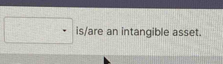 is/are an intangible asset.