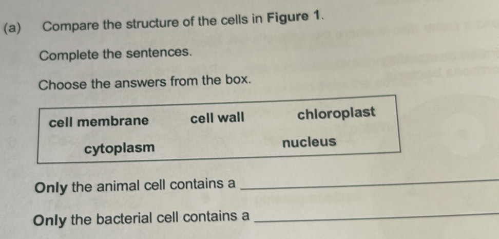 Solved: Compare the structure of the cells in Figure 1. Complete the ...