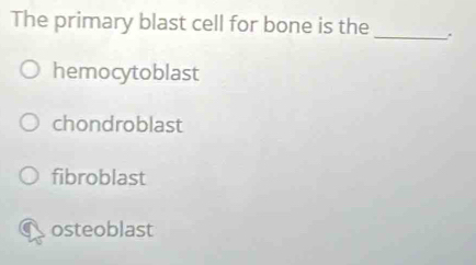 The primary blast cell for bone is the_ .
hemocytoblast
chondroblast
fibroblast
osteoblast