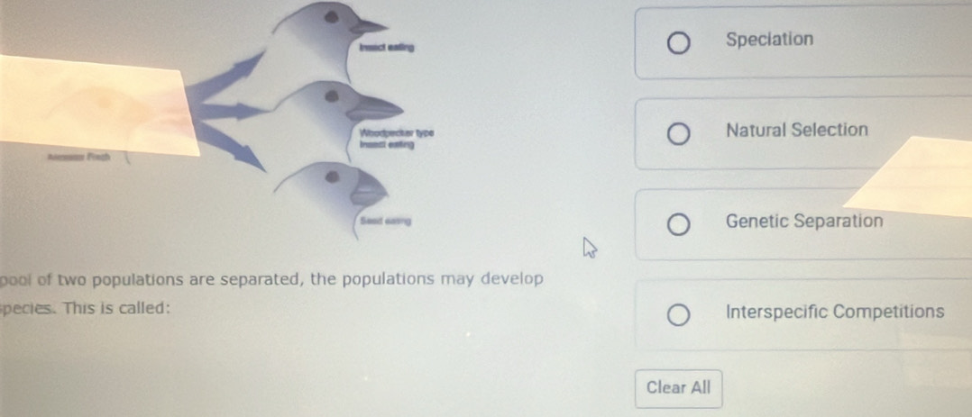 Speciation
Natural Selection
Genetic Separation
pool of two populations are separated, the populations may develop
pecies. This is called: Interspecific Competitions
Clear All